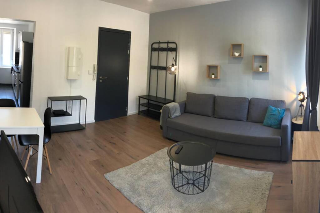 Apartmán S'capades Mulhouse - Rénové 2021 - Wifi/Netflix Exteriér fotografie